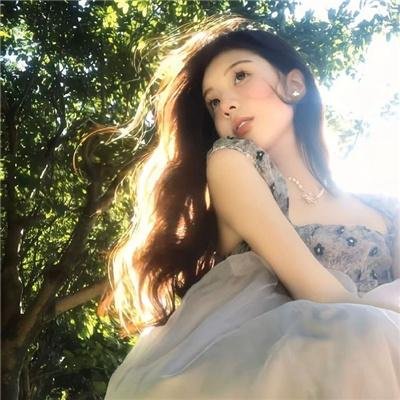 如翼之舟