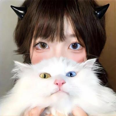 狮路历程